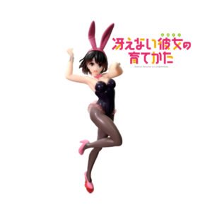 Coreful Megumi Kato Bunny